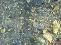 /album/galeria-de-fotos/dsc00123-jpg/