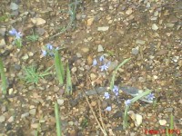 /album/galeria-de-fotos/dsc00128-jpg/