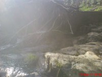 /album/galeria-de-fotos/dsc00131-jpg/