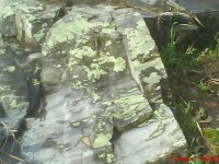 /album/galeria-de-fotos/dsc00132-jpg/