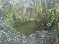 /album/galeria-de-fotos/dsc00134-jpg/