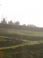 /album/galeria-de-fotos/dsc00135-jpg/