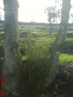 /album/galeria-de-fotos/dsc00138-jpg/