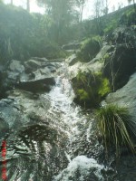 /album/galeria-de-fotos/dsc00141-jpg/