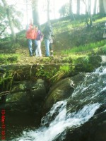 /album/galeria-de-fotos/dsc00142-jpg/