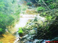 /album/galeria-de-fotos/dsc00144-jpg/