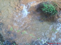 /album/galeria-de-fotos/dsc00145-jpg/