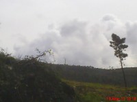 /album/galeria-de-fotos/dsc00148-jpg/