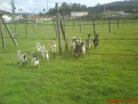 /album/galeria-de-fotos/dsc00149-jpg/