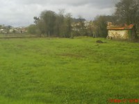 /album/galeria-de-fotos/dsc00150-jpg/