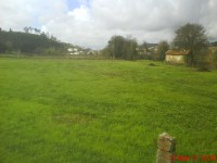 /album/galeria-de-fotos/dsc00151-jpg/